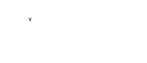 The Fleece